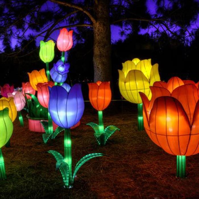 Beautiful Chinese Butterfly Lantern
